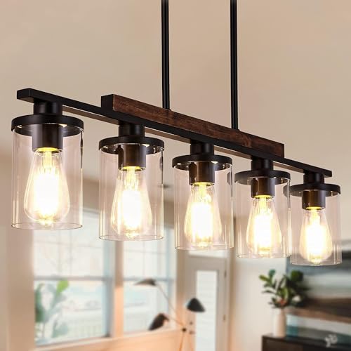 5 Pack Clear Glass Light Shade (5 Count)