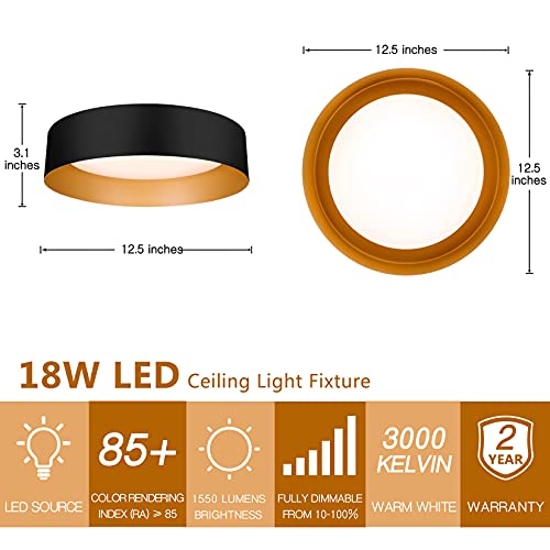 Flush Mount Ceiling Light 2 (2 Count)
