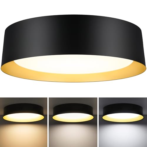 Flush Mount Ceiling Light