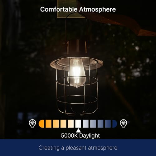 Dusk to Dawn Outdoor Sensor ST19 LED Edison Bulb (8 Count)