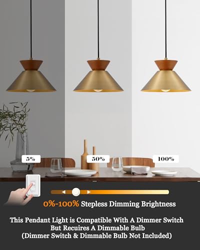 Vintage Pendant Light for Kitchen Island