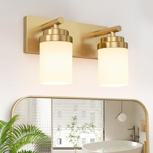 Bathroom Vanity Light Fixture