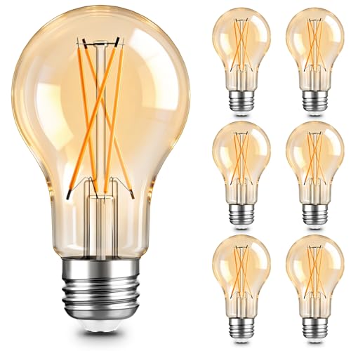 A19 LED Edison Light Bulb (6 Count)