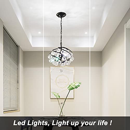 G9 Led Bulbs 50W (10 Count)