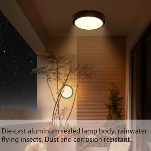 LED Flush Mount Ceiling Light