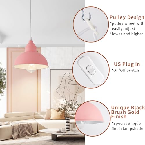 Plug in Pendant Light