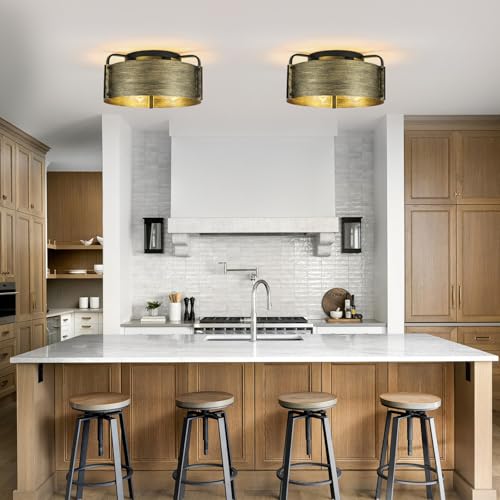 Flush Mount Ceiling Light