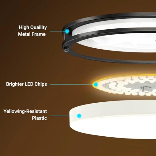 10Inch Flush Mount Ceiling Lights (2 Count)