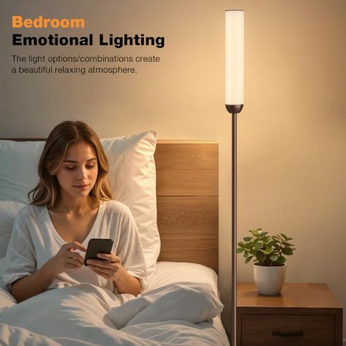 LED Floor Lamp with Remote Control