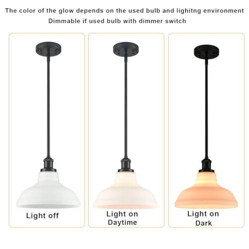 Black Opal Glass Pendant Light