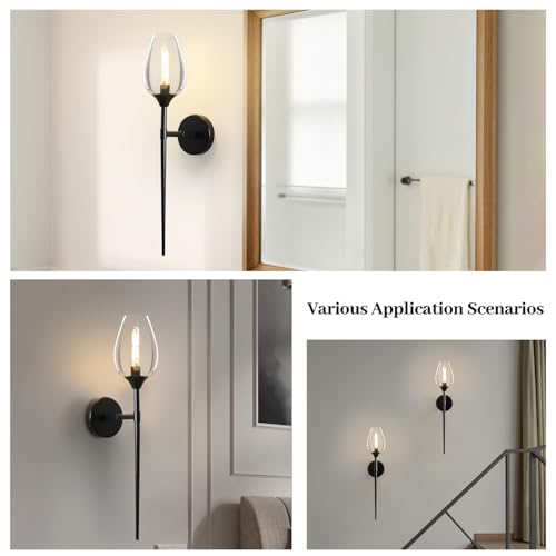2 Pack Blcak Glass Wall Sconce Light