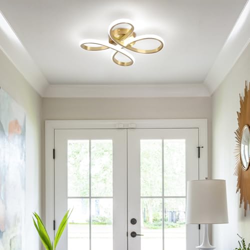 Modern LED Ceiling Light