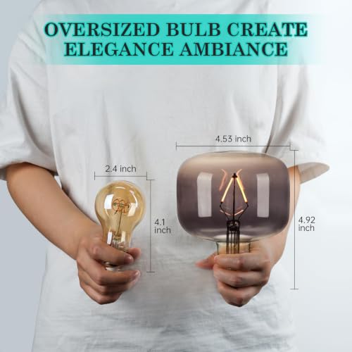 Large Edison Bulbs E26 LED (2 Count)