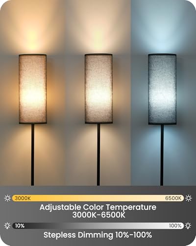 Dimmable Black Floor Lamp for Living Room with Remote and Foot Switch