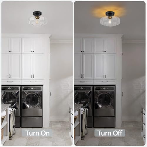 Semi Flush Mount Ceiling Light