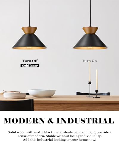 3 Pack Modern Pendant Lights Kitchen Island (3 Count)