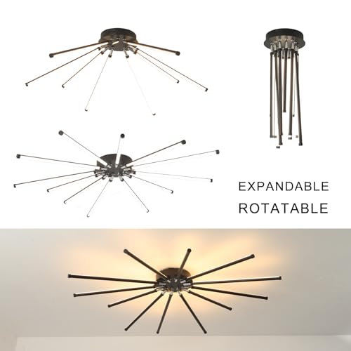 Modern LED Ceiling Light