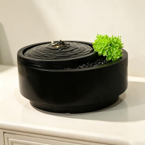 Table Fountain Indoor Water Zen Garden Decor with Succulent Plant