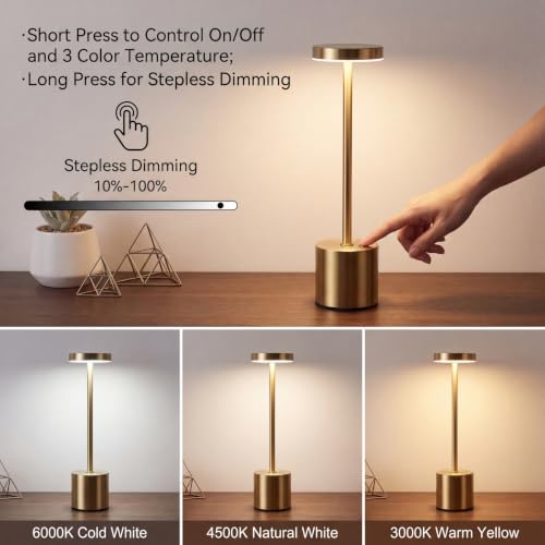 Cordless Table Lamp Set of 2