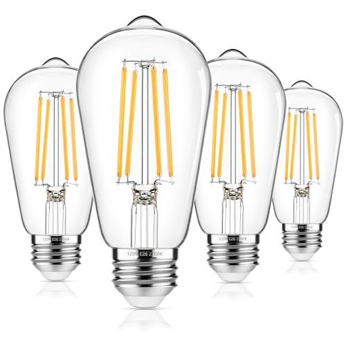 4 Pack Vintage Edison Bulbs 60W Equivalent (4 Count)