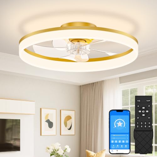 Low Profile Ceiling Fans with Lights and Remote