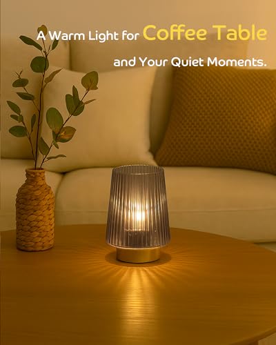 Battery Powered Lamp with Timer (2 Count)