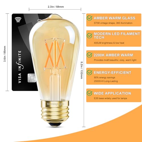 Dimmable ST58 LED Edison Bulbs 40W Equivalent (6 Count)