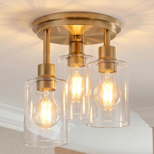Semi Flush Mount Ceiling Light