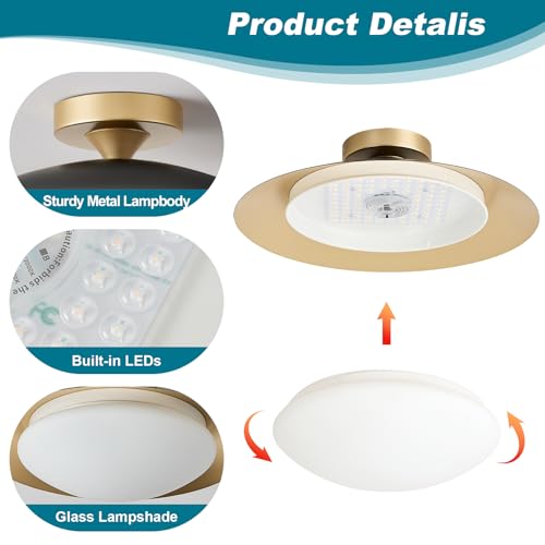 Dimmable Modern LED Black and Gold Ceiling Light Fixture 15.75 in