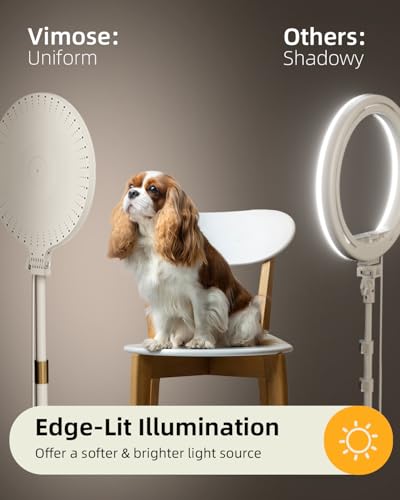 10.5" Ring Light with Stand and Phone Holder