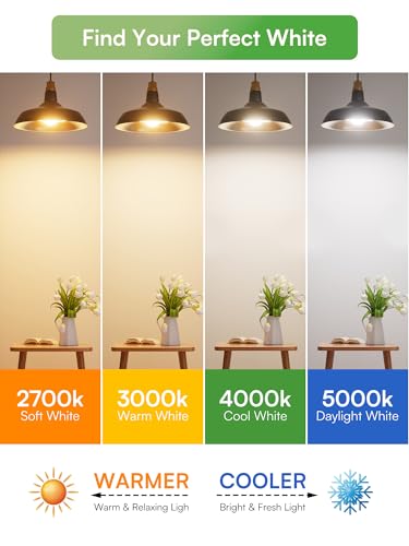 Dimmable LED Light Bulbs 40W Eq (6 Count)