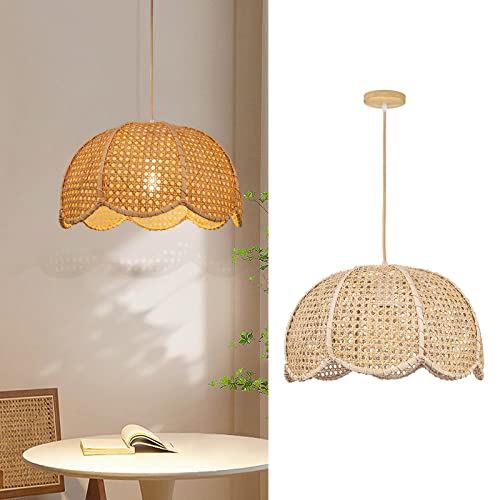 Indoor Hanging Ceiling Light Fixture