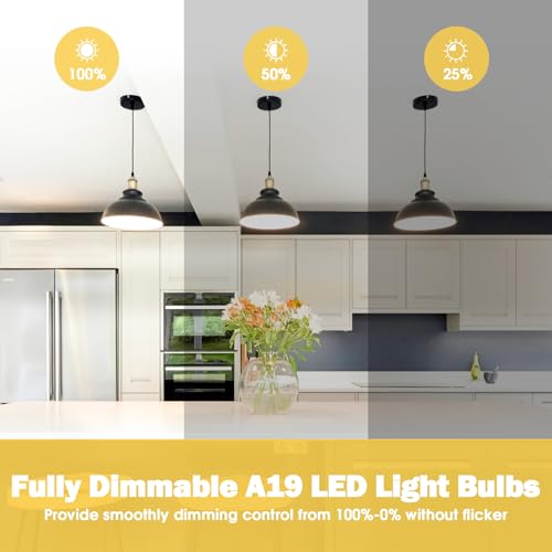 A19 LED Light Bulb 60W Equivalent (4 Count)