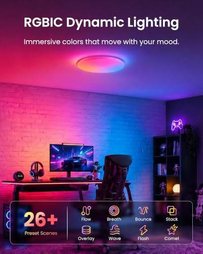 RGBICWW Ceiling Light 12 Inch (12 Inch)