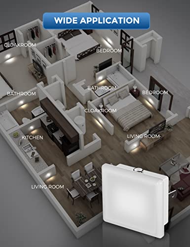Night Lights Plug into Wall 2 (2 Count)