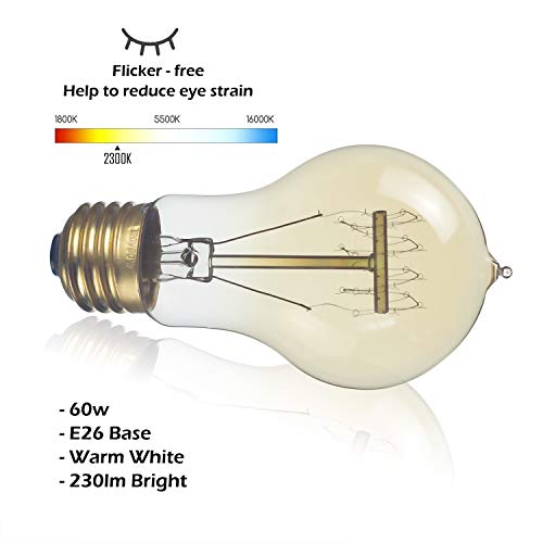 6 Pack Edison Light Bulb 60 Watt Dimmable A19 Vintage Warm Bulb (6 Count)
