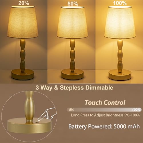 Rechargeable Cordless Table Lamp
