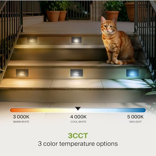 LED Recessed Step Light Fixture (4 Count)