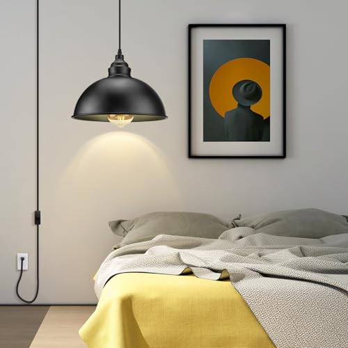 Plug in Pendant Light