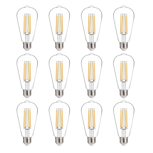 100W Equivalent LED Edison Bulbs (12 Count)