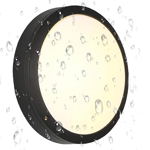 Flush Mount Ceiling Light