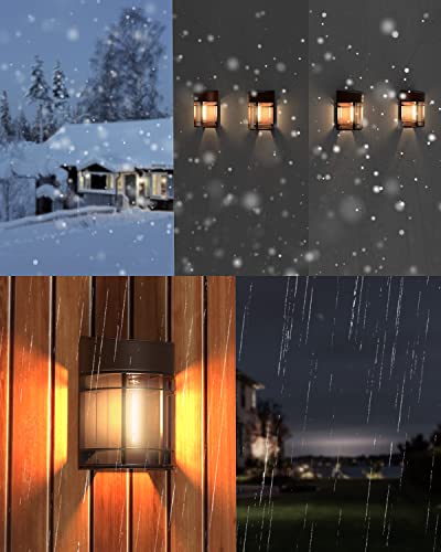 Solar Lights Outdoor (12 Count)