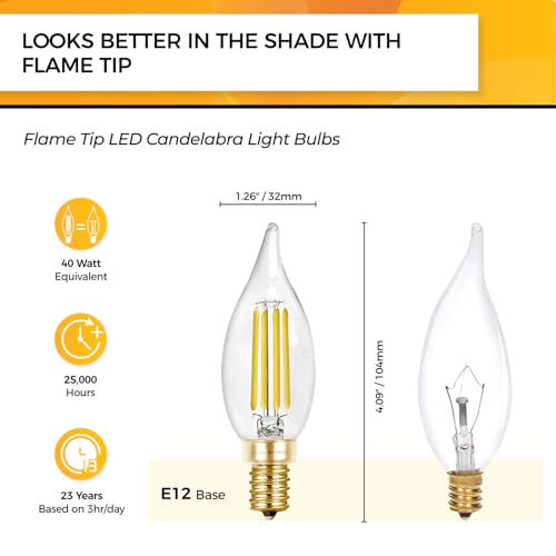 Candelabra Light Bulbs 5000K (12 Count)