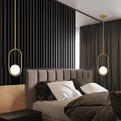 Modern Pendant Lighting Gold Globe Pendant Light Fixture