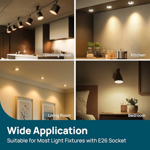 12 Pack BR30 LED Flood Light Bulbs Indoor (12 Count)