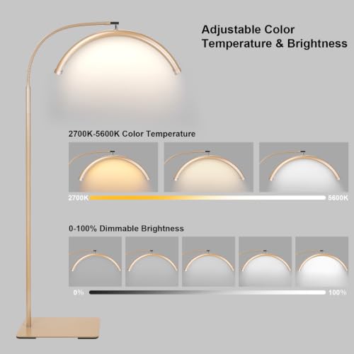 Half Moon LED Floor Light
