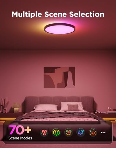 Smart Ceiling Light