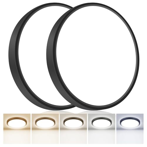 2Pack 12Inch LED Flush Mount Ceiling Light Fixture (2 Count)