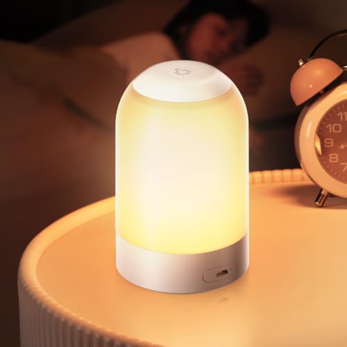Portable Night Light