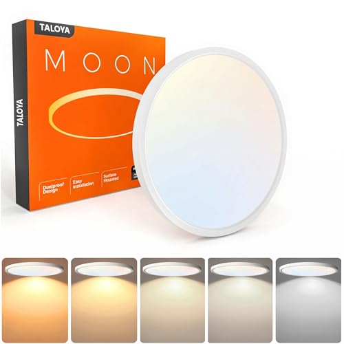 12 Inch Flush Mount Ceiling Light